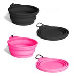 Zee-Dog-Bowl-1