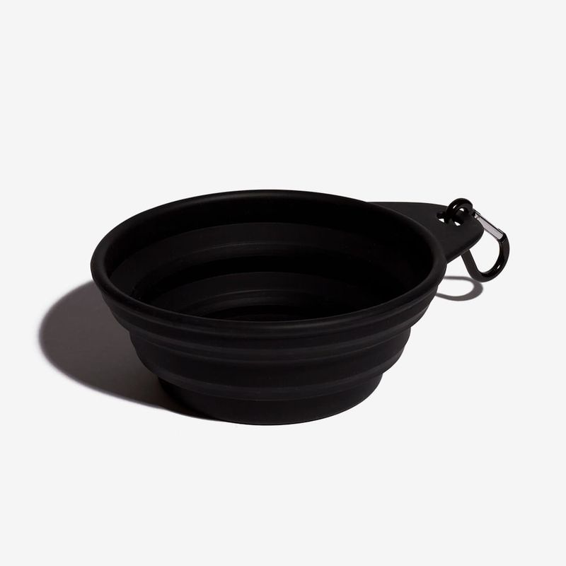 Zee-Dog-Bowl-2