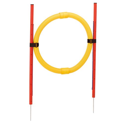 Agility Circle