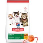 2Hills-Gato-Kitten-Juguete