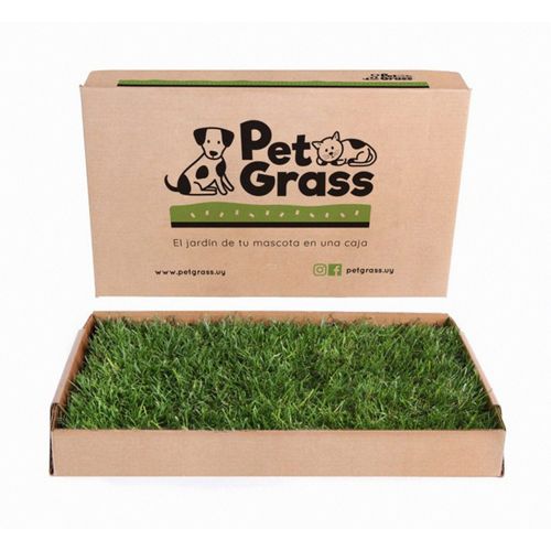 Alfombra de pasto natural - Pet Grass