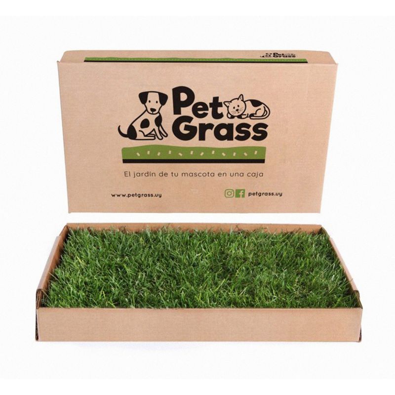 2PetGrass-0