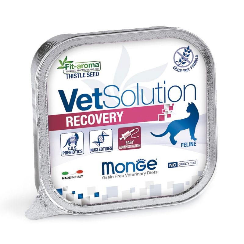 2Pate-Vet-Solution-Gato-Recovery