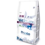 2Vet-Solution-Gato-Gastrointestinal