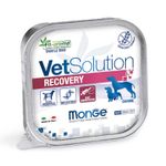 2Pate-Vet-Solution-Perro-Recovery