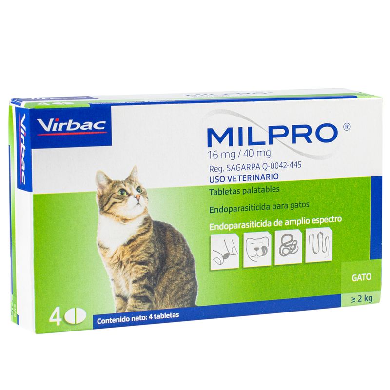 2Milpro-Cat-Adulto