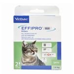 2Effipro-Duo-Kitten