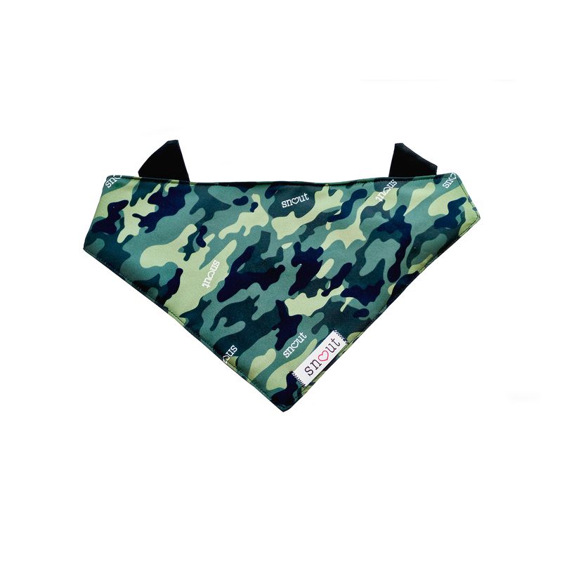 2Camuflaje