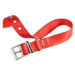 2Collar-ClubCF-Ferplast-Rojo-1