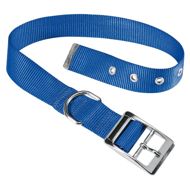 2Collar-ClubCF-Ferplast-Azul-1