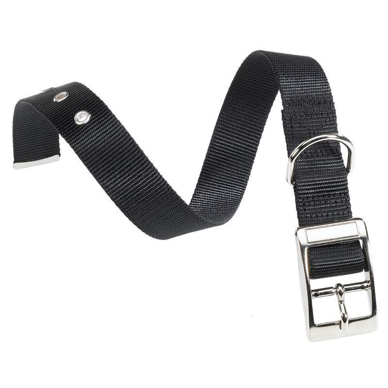 2Collar-ClubCF-Ferplast-Negro-1