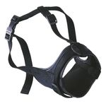 Bozal-Boxer-1