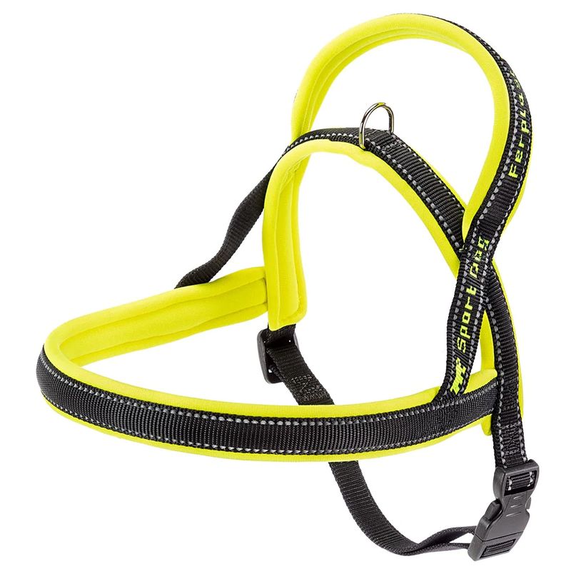 Sport-Dog-Amarillo