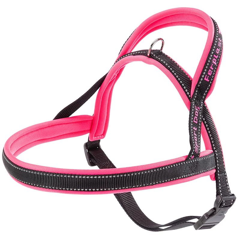 Sport-Dog-Rosa