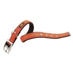 Collar-Dual-CF-Naranja-1