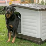 Puerta-DogVilla-3