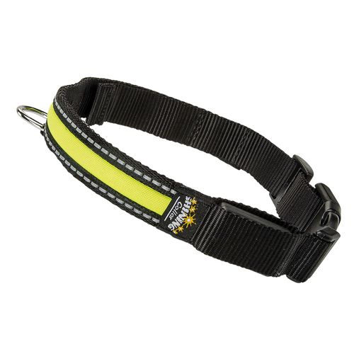 Collar Led - Night