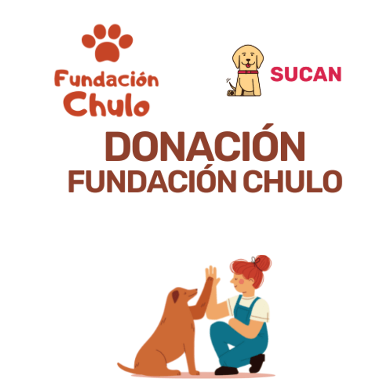 FundacionChulo