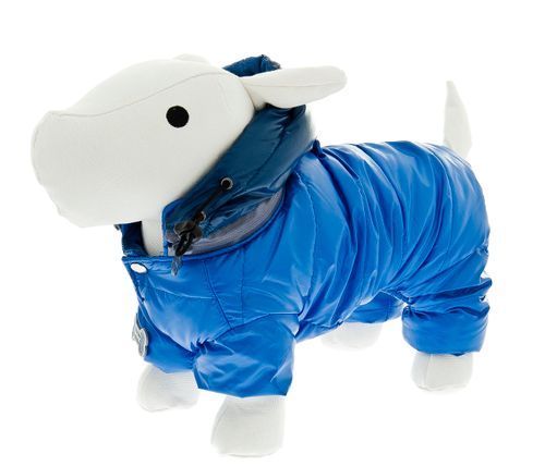 Capa Cool Dog - Azul
