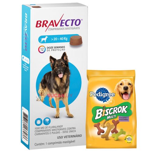 Pastilla Bravecto (3 Meses) - Perros 20 A 40 Kg + Regalo!