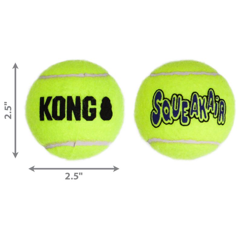 AST1---PELOTAS-KONG-SQUEAKAIR-X2--M--