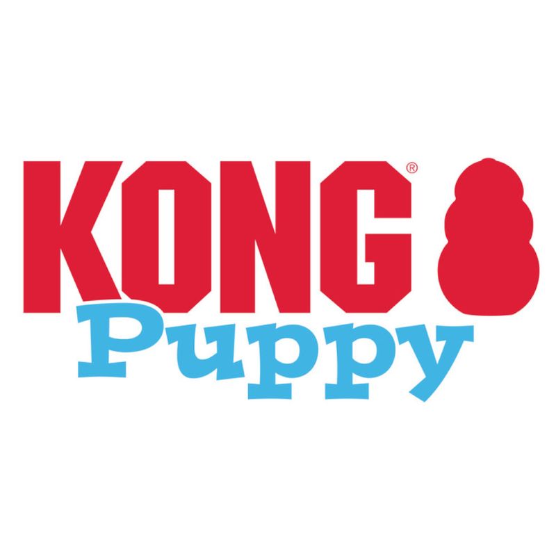 Monrdedor-Kong-Puppy-KP1-4