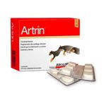 2010---Condroprotector-Artrin