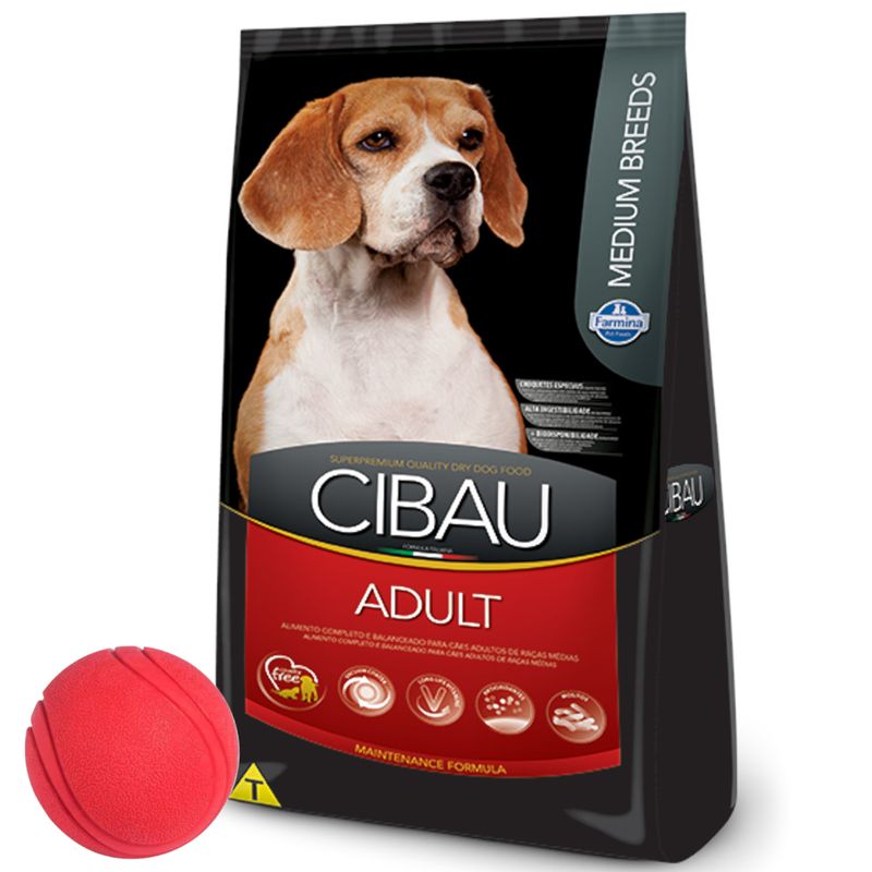 3Cibau-Adulto-Mediano---pelota-2