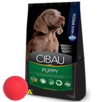 3Cibau-Cachorro-Maxi---pelota