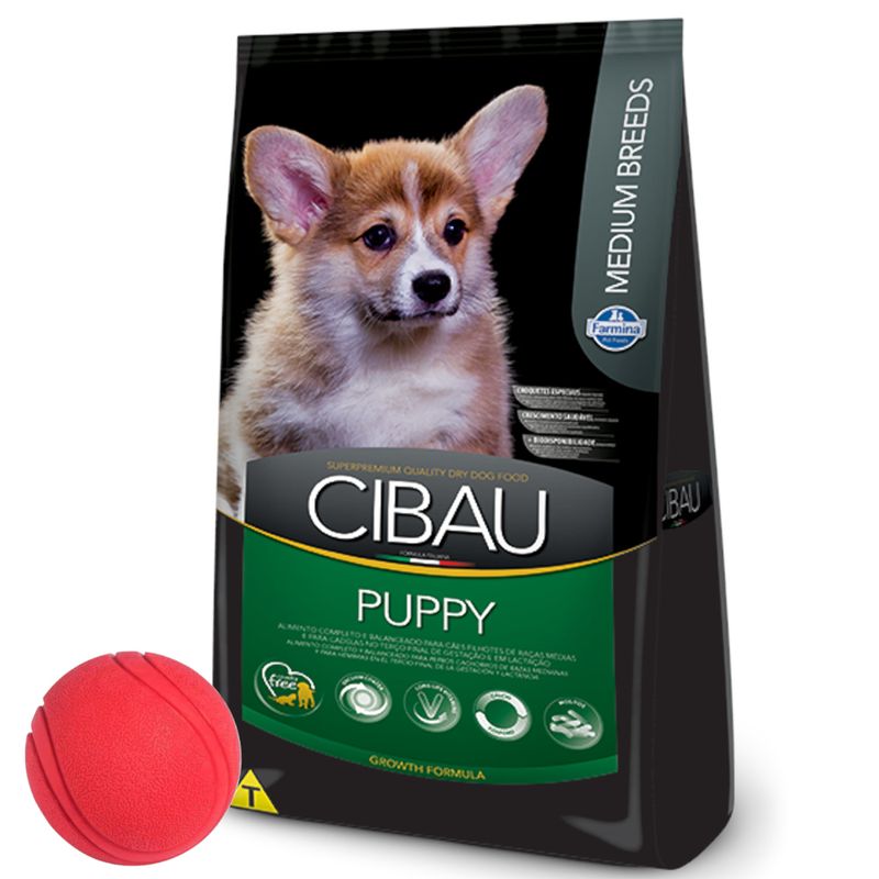 3Cibau-Cachorro-Mediano---pelota