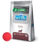 3Vet-Life-Perro-Hepatic---pelota