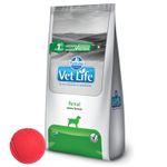 3Vet-Life-Perro-Renal---pelota