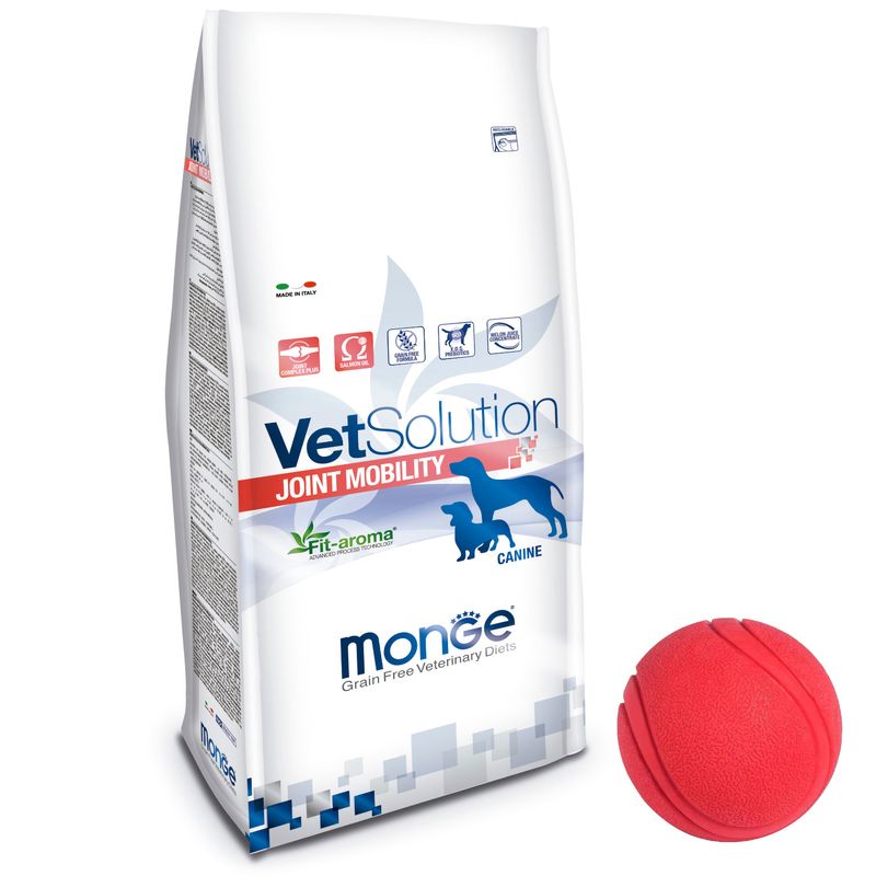 2Vet-Solution-Perro-Join-Mobility---Pelota