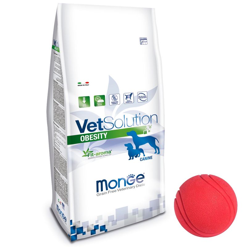 2Vet-Solution-Perro-Obesity---pelota