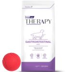 Therapy-Gastrointestinal---pelota