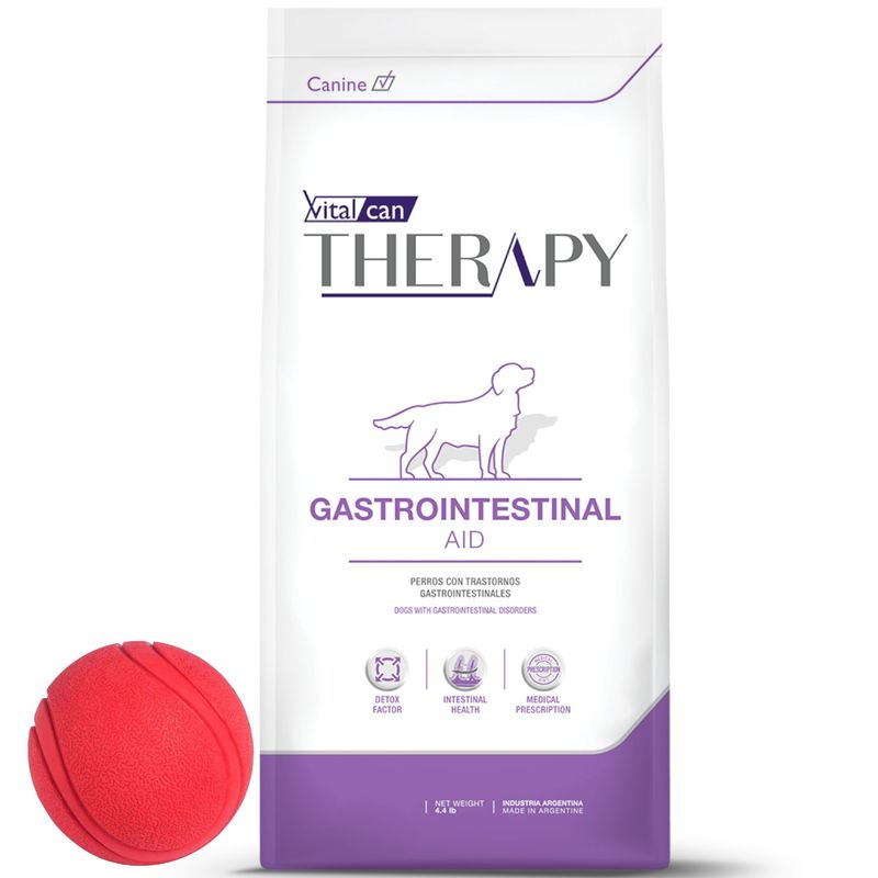 Therapy-Gastrointestinal---pelota