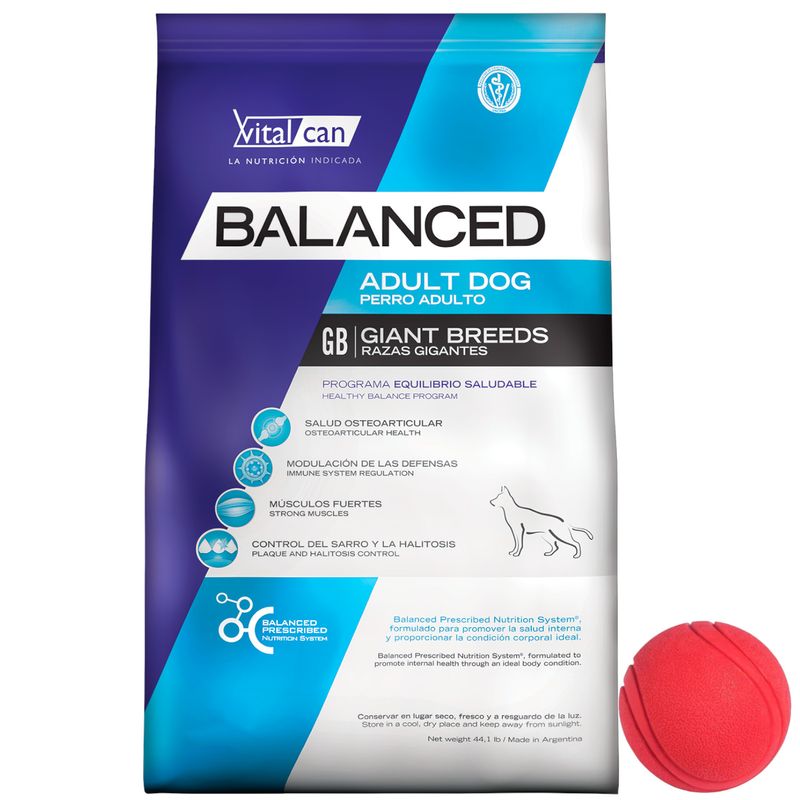 Balanced-Dog-GiantB---pelota