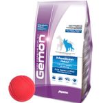 2Gemon---Medium-Adult-con-Atun-y-Arroz---pelota