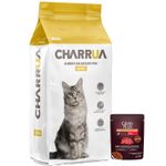 gatos-charrua---1-pate