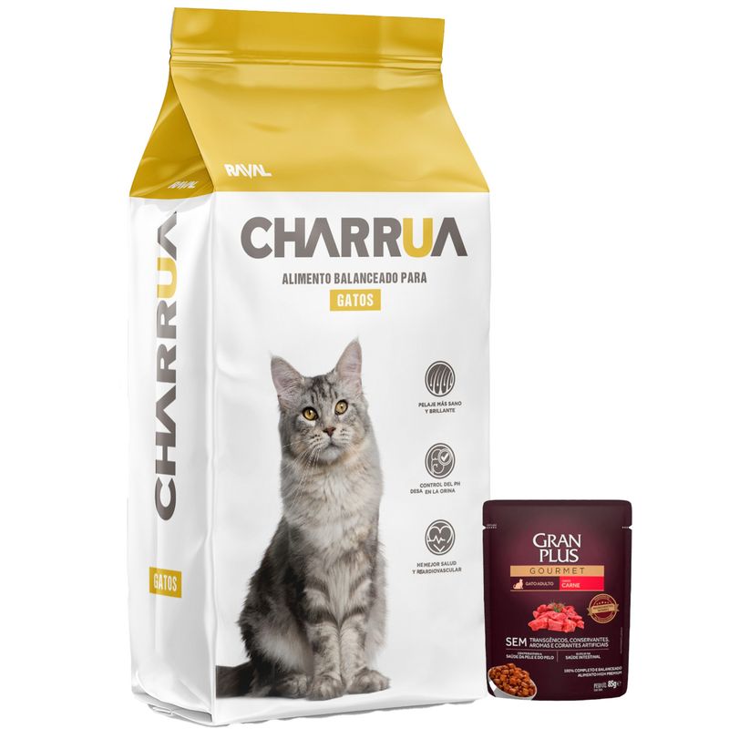 gatos-charrua---1-pate