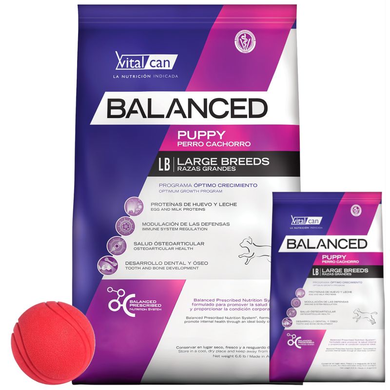 Balanced-Dog-Cachorro-G-20---2-kg---pelota