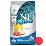 N-D-Ocean-Adulto-Medium---Pelota