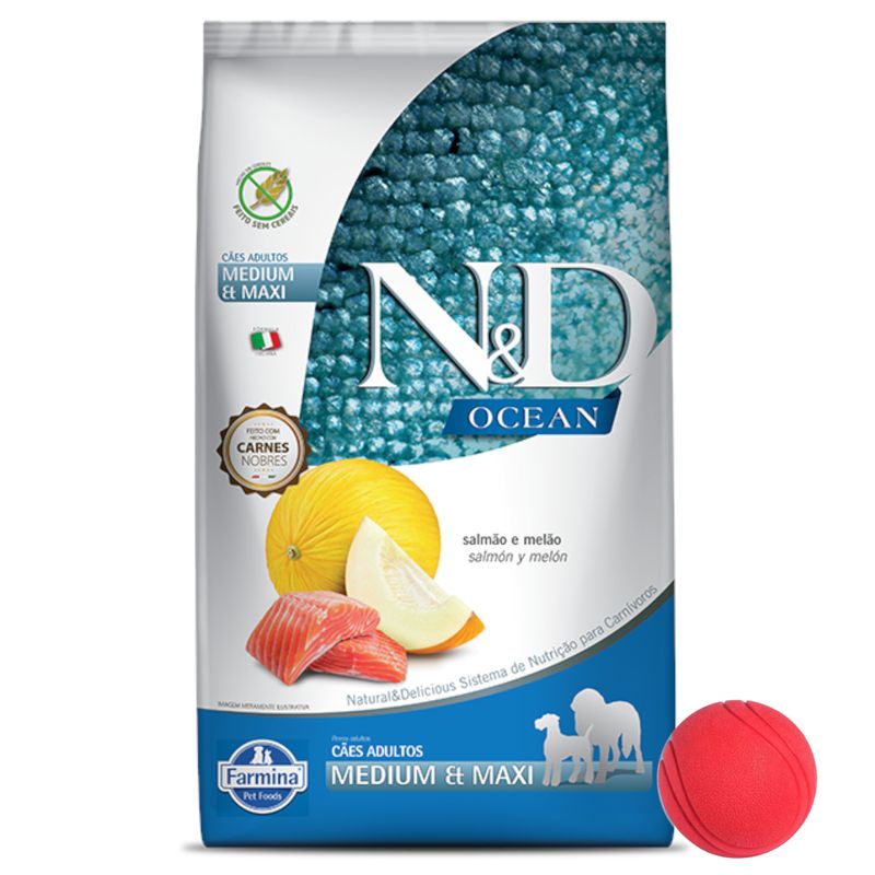 N-D-Ocean-Adulto-Medium---Pelota