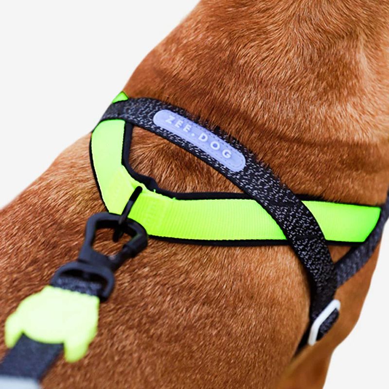 99916---ARNES-SOFT-ZEE-DOG---WALK-NOX---LARGE-3