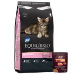 2Equilibrio-Gato-Kitten---1-Pate-GP