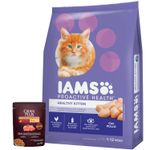 2Iams-Kitten---1-pate