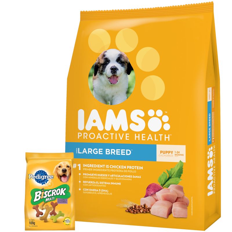 3Iams-Cachorro-Grande