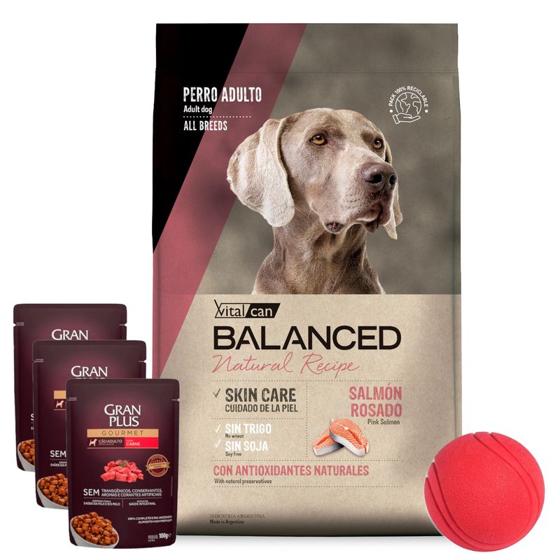 Balanced-Perro-Samon---3-pate---pelota