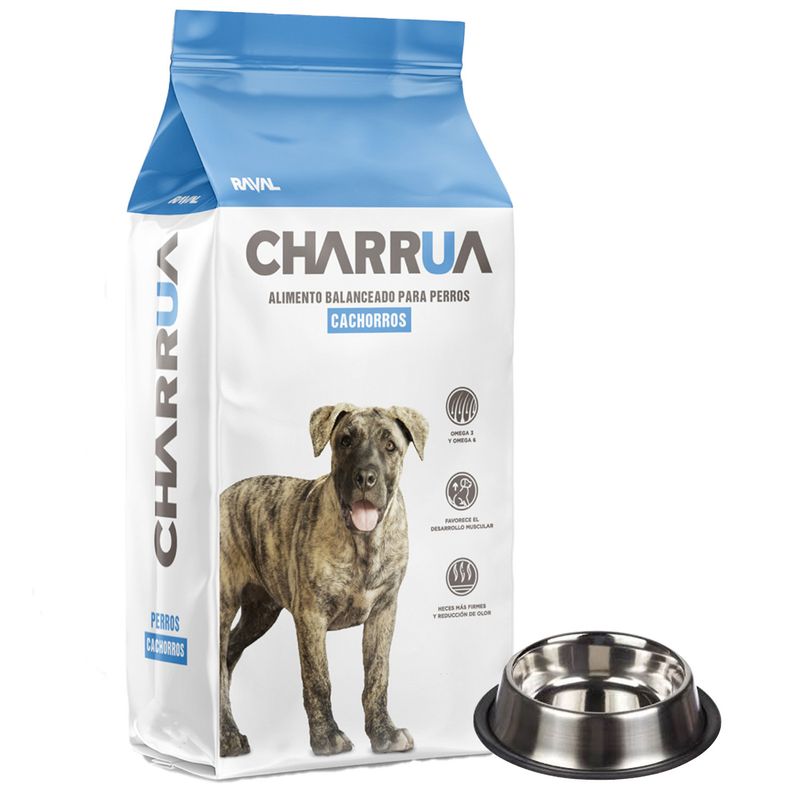 Cachorros-charrua---comedero