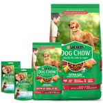 2Dog-Chow-Adulto-21-3kg---2-SALUD-ORAL-MINI